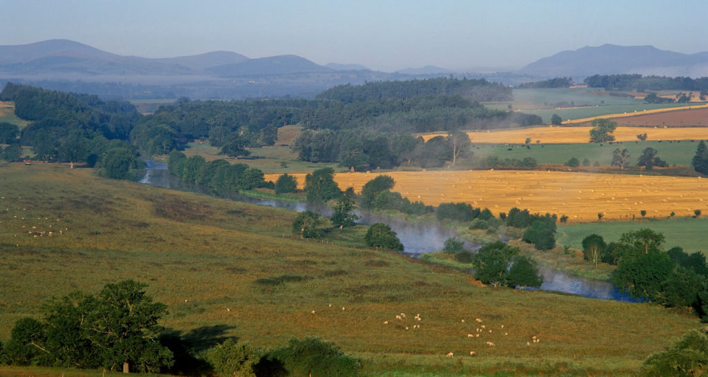 Dog Friendly Lake District Holiday Homes