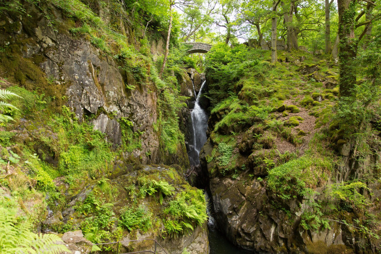 Aira Force waterfall Ullswater Valley Lake District Cumbria England UK in beautiful woodland with bridge