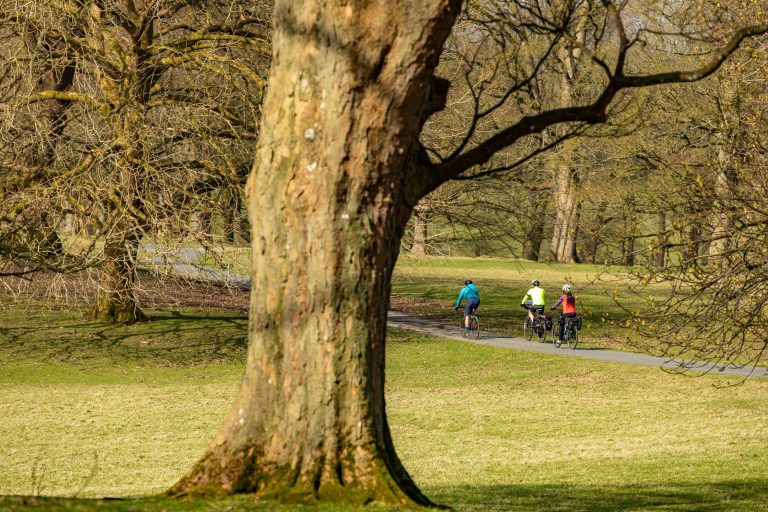 Cycling at Whinlatter Forest