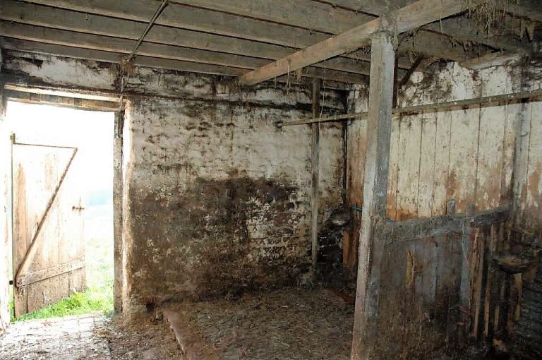 Elk-Cottage-dining-room-prior-to-restoration-1024×680