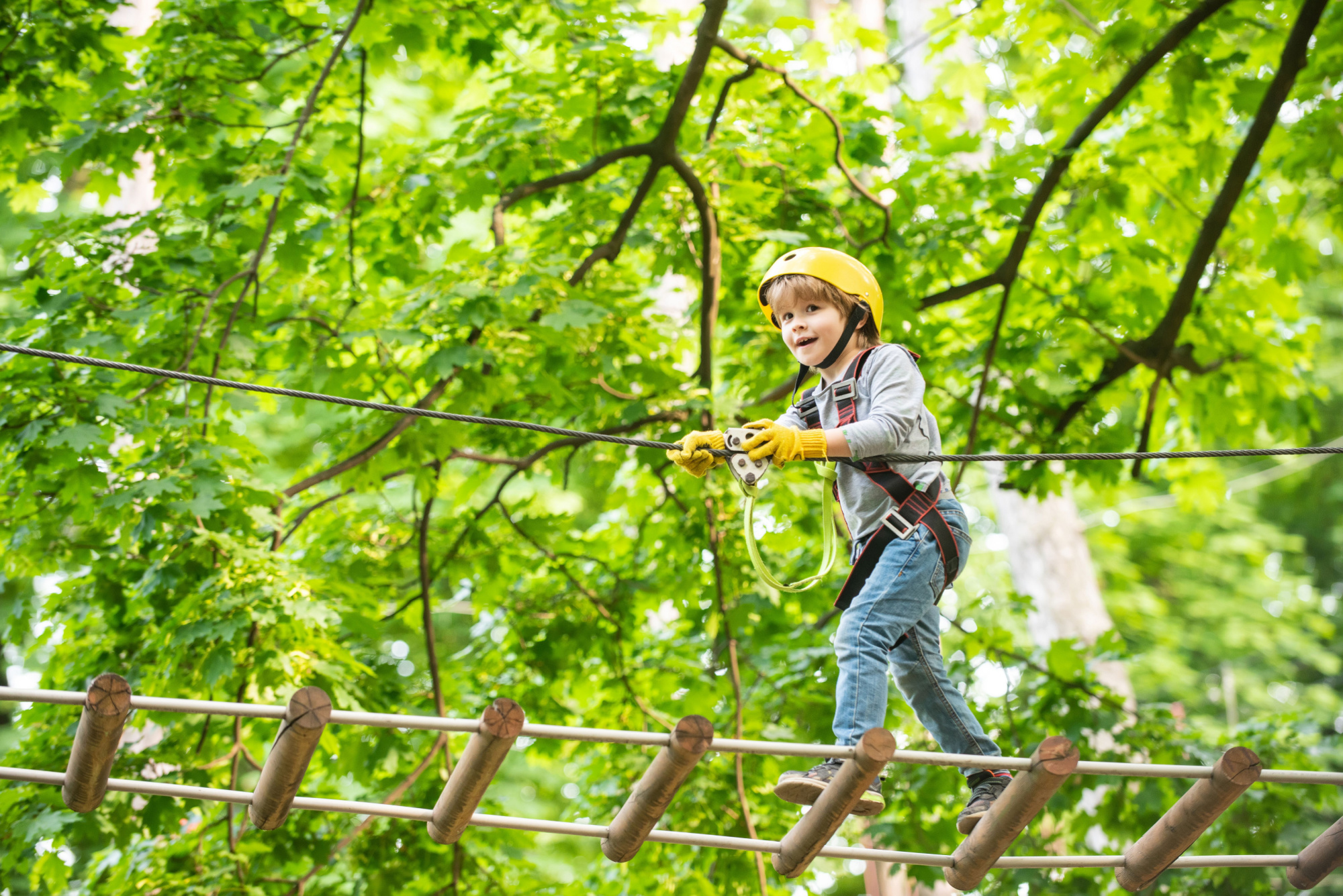 Whinlatter Forest Go Ape