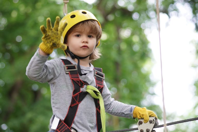 Whinlatter Forest Go Ape