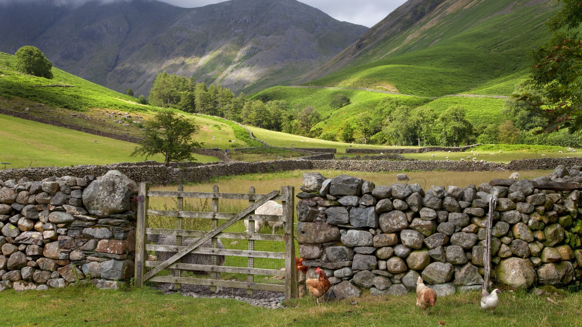 Wasdale Head near Wast Water, the Lake District, Cumbria, England.