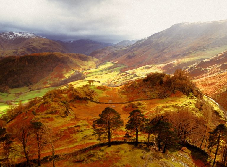 The World of Beatrix Potter