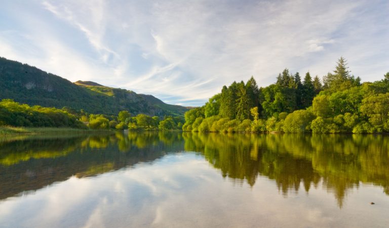 Wild Swimming