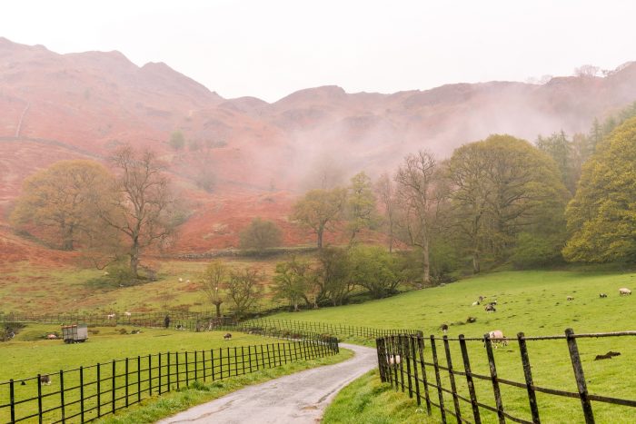 Cycling at Whinlatter Forest