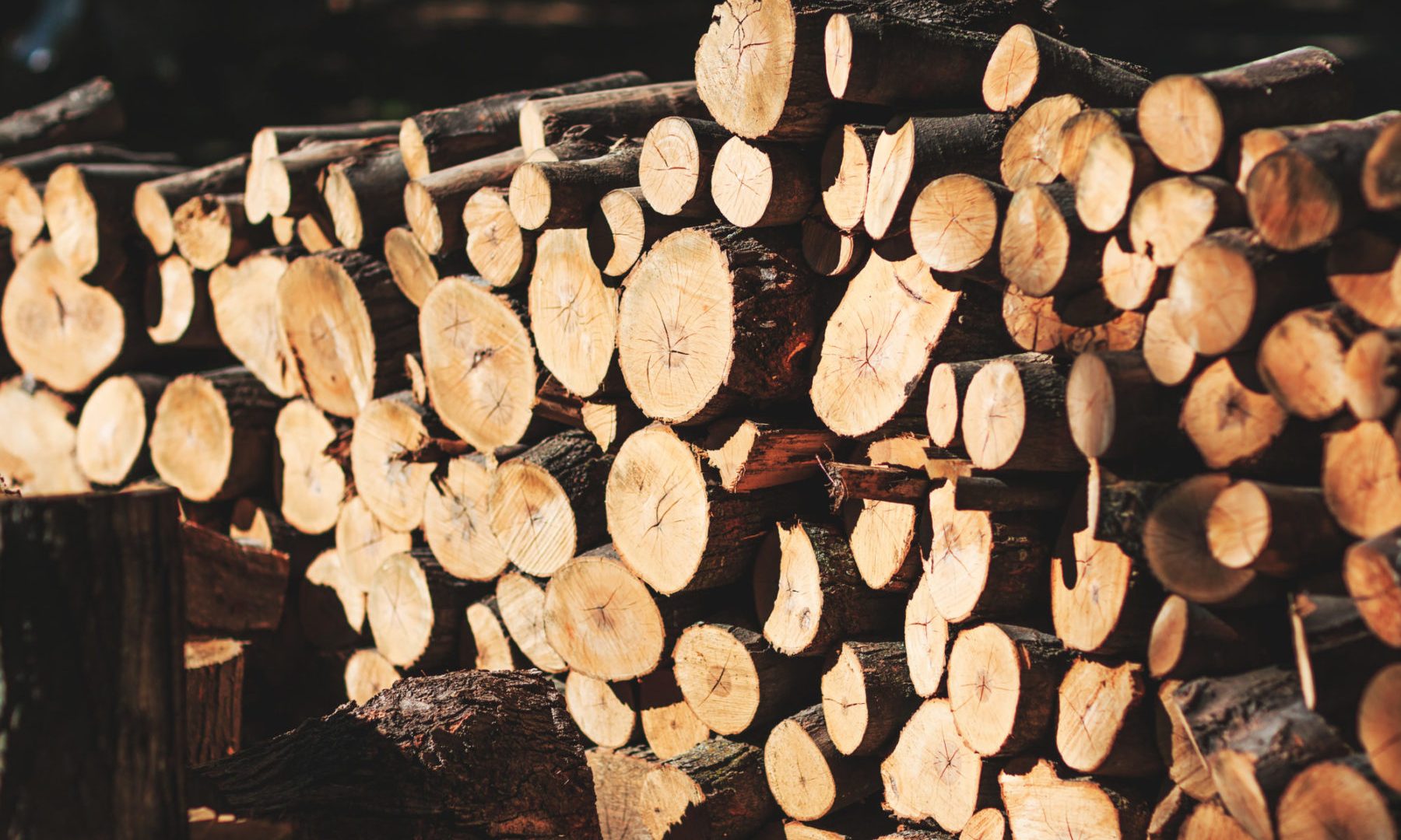 Large-pile-of-logs-at-sunset-e1532004232609