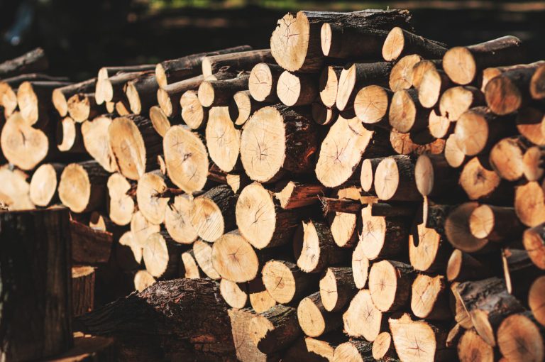 Large-pile-of-logs-at-sunset-e1532004232609