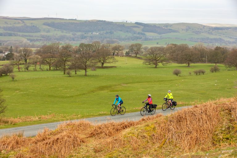 Cycling at Whinlatter Forest