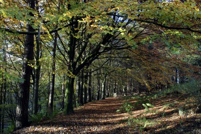 MELMERBY-HALL-WALK-PHOTO-e1351083584102