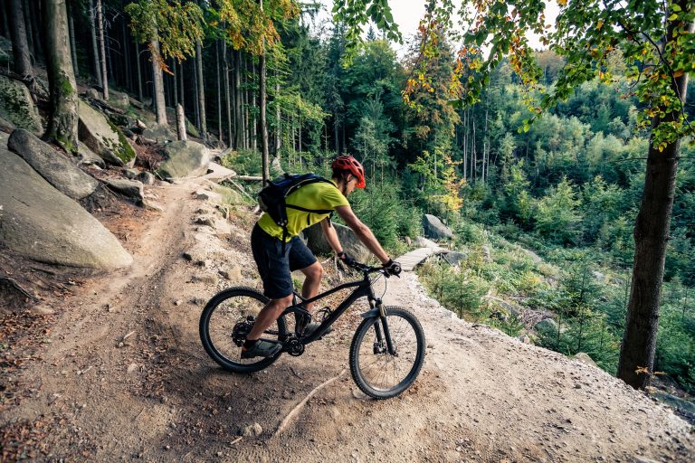 Cycling at Whinlatter Forest