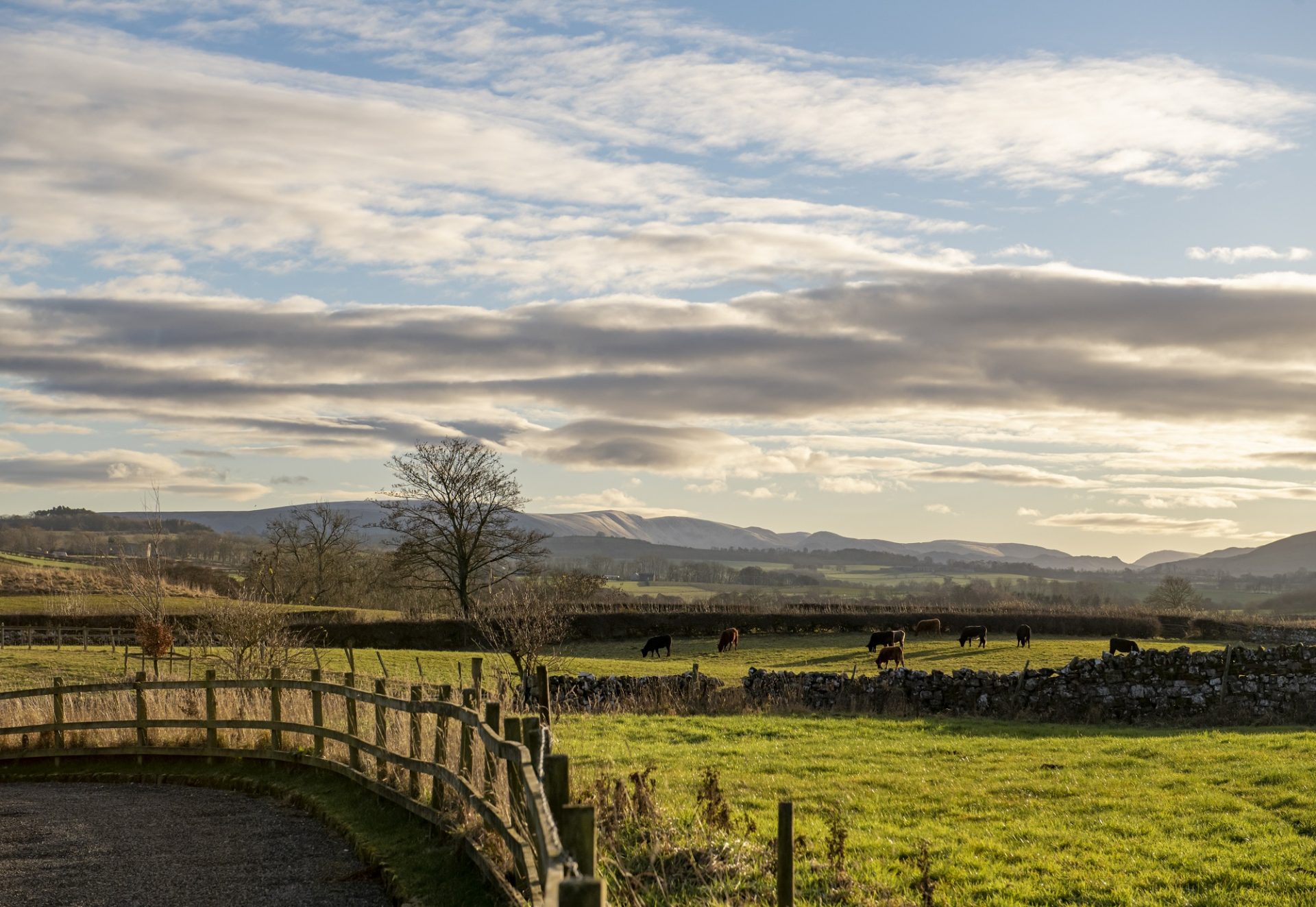 Mountain-views-from-Oak-Retreat-shepherds-hut