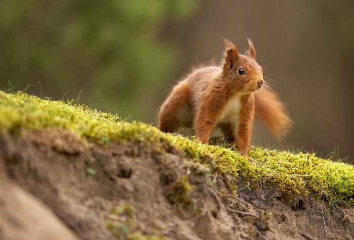 Explore by the river and farther afield in the stunning Lake District