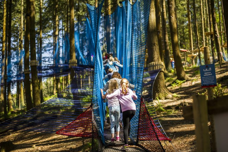 Tree-top-nets-activity-Rowley-Estates