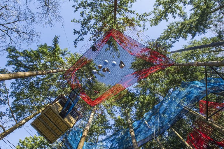 Tree Top Nets