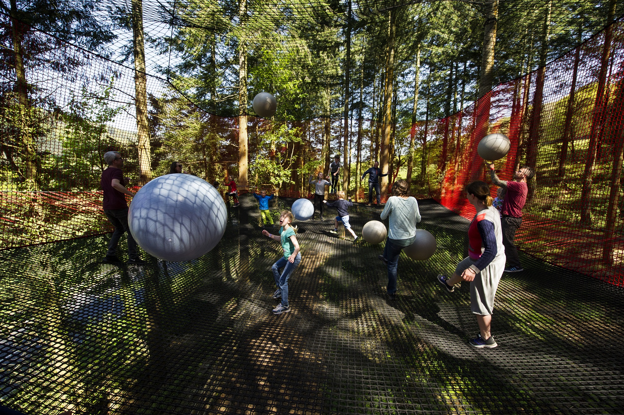 Tree Top Nets