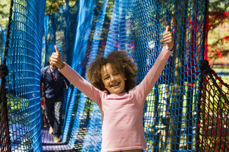Tree Top Nets