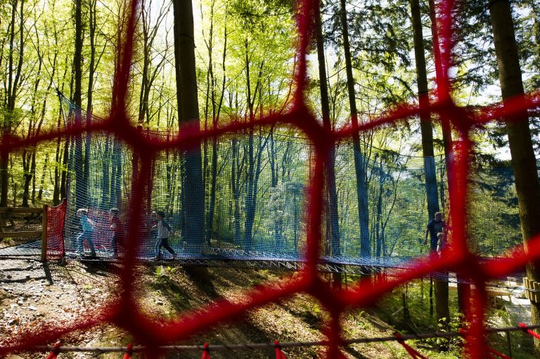 Tree Top Nets