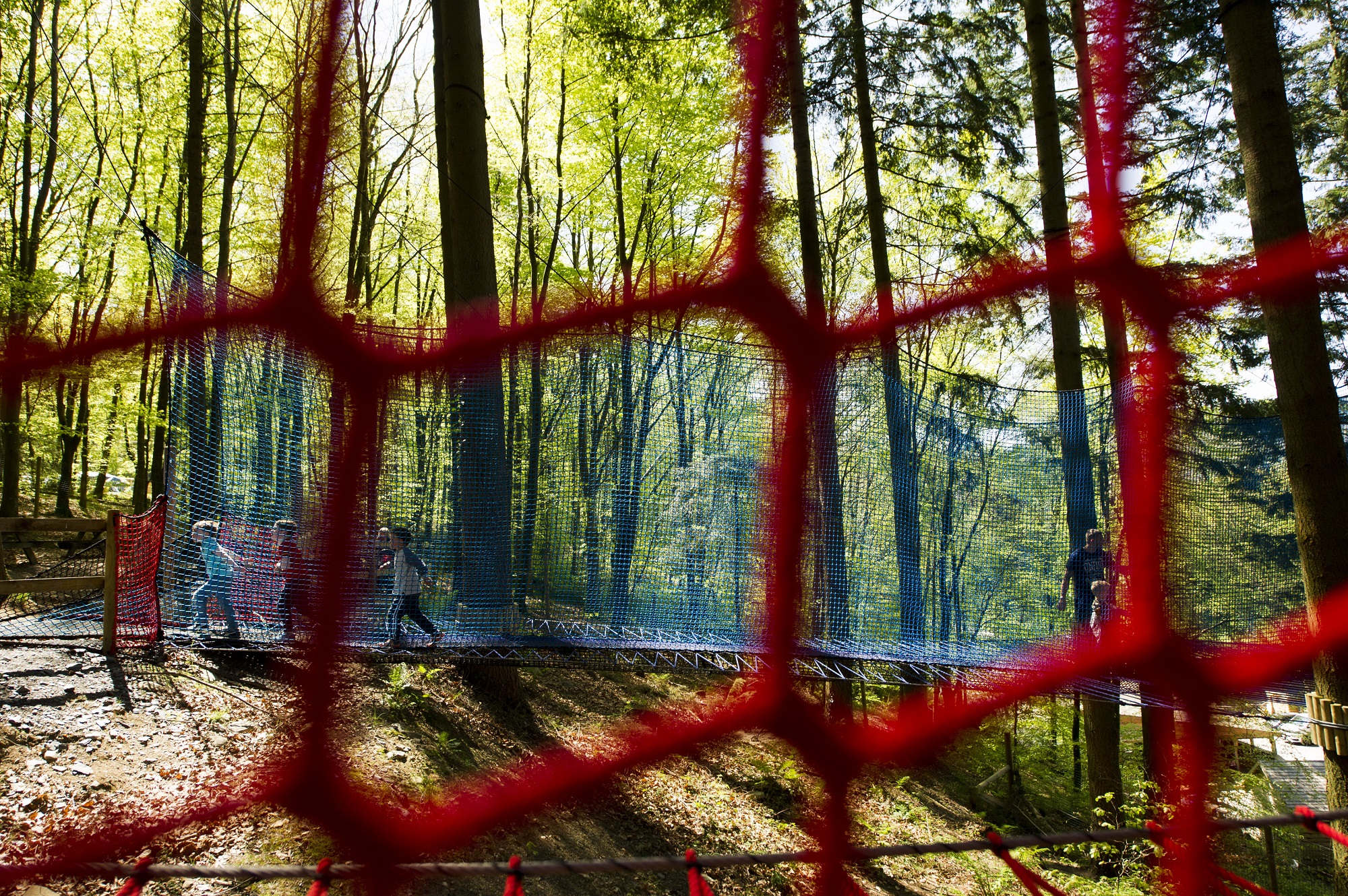 Tree Top Nets