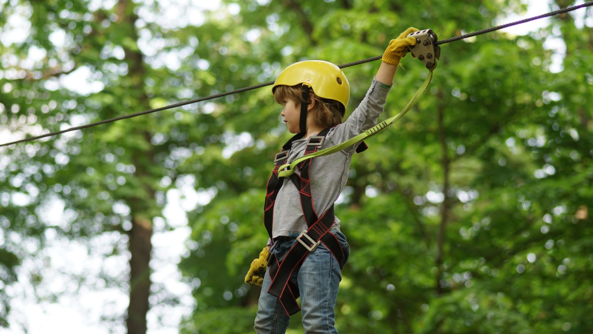 Zip-wire-Lake-District-Rowley-Estates