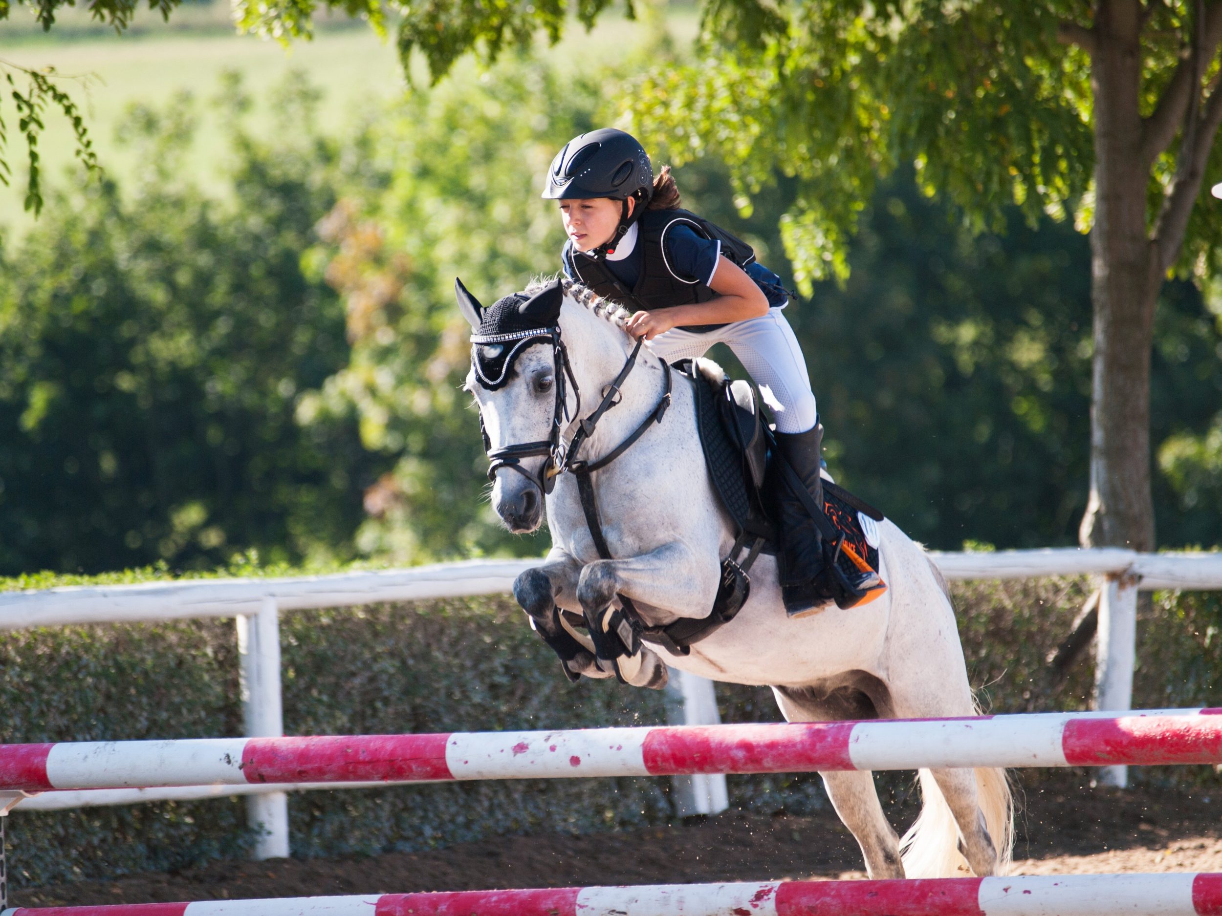 Bank House Equestrian