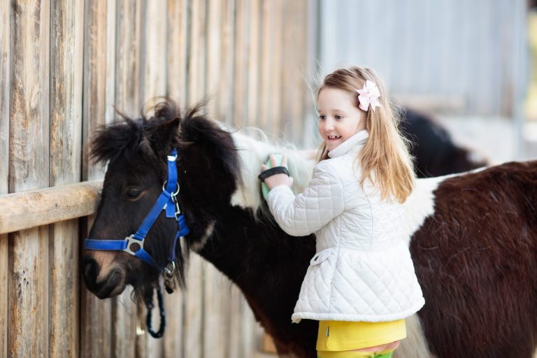 Bank House Equestrian
