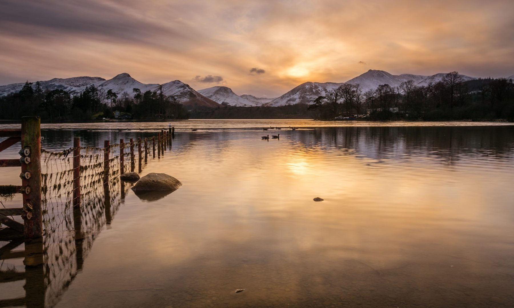 longer-hikes-derwentwater-and-catbells