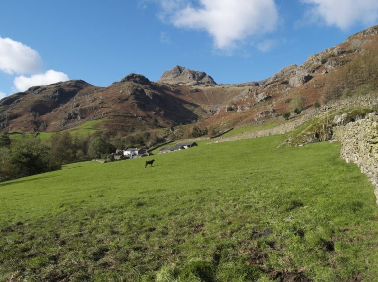 medium-walks-the-langdales-christian-dymond-1024×765