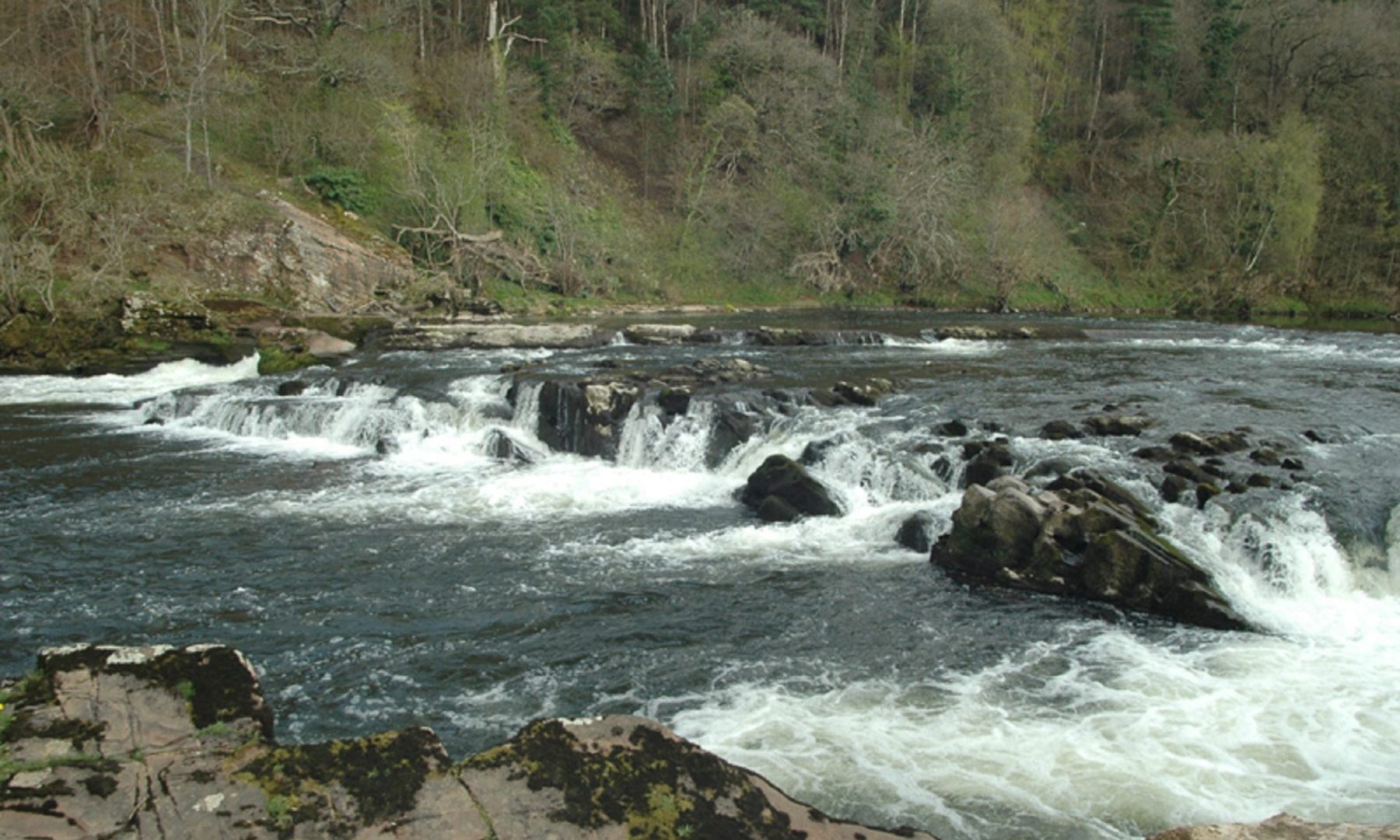 medium-walks-the-weir-by-eden-lacy-along-the-rowley-estate-cumbria-fly-fishing