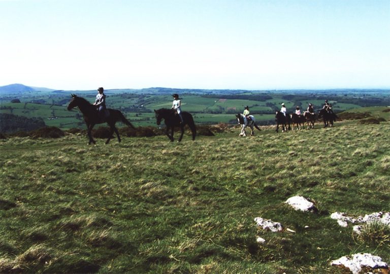 Pony Trekking at Parkfoot