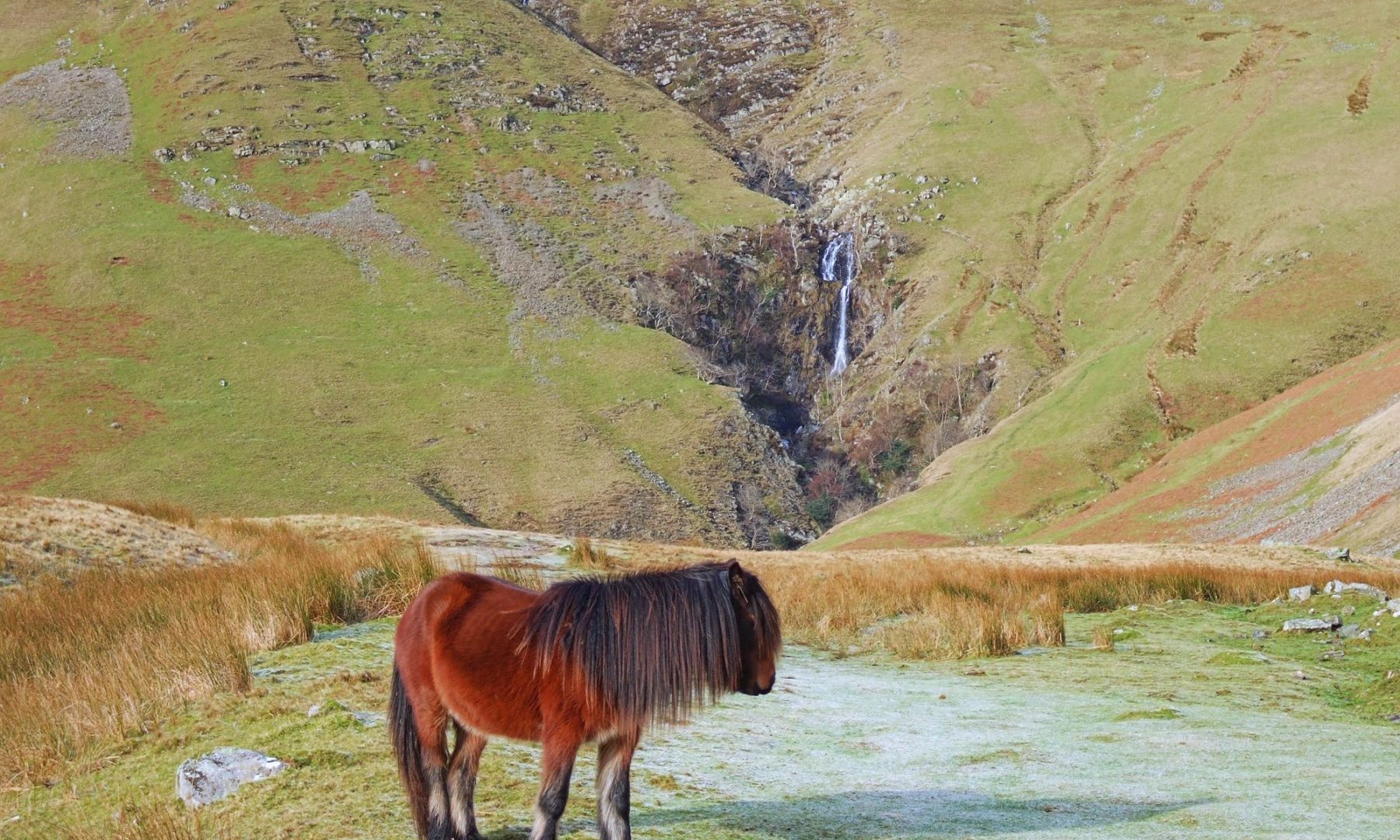pony-trekking-pony-and-waterfall-in-lake-district