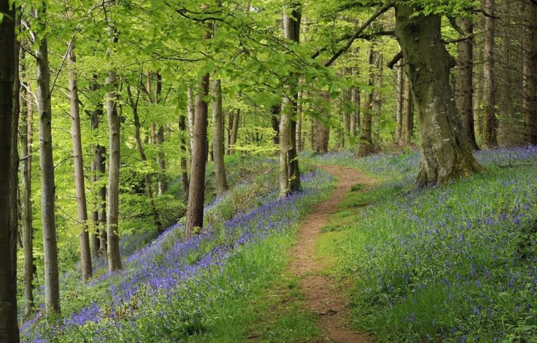 Great Walks & Runs From Melmerby
