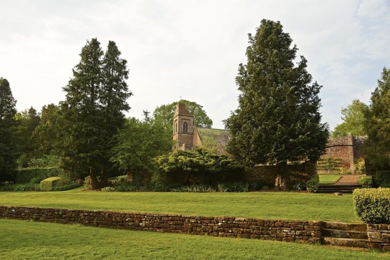 walks-from-melmerby-church-spire-rising-above-the-garden