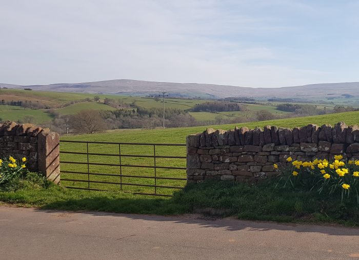 A perfect spot for drinks and barbecues