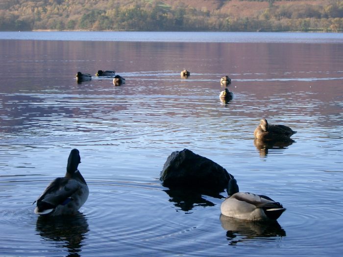 Explore by the river and farther afield in the stunning Lake District