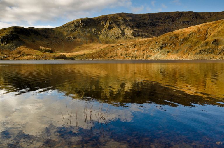 Wild Swimming