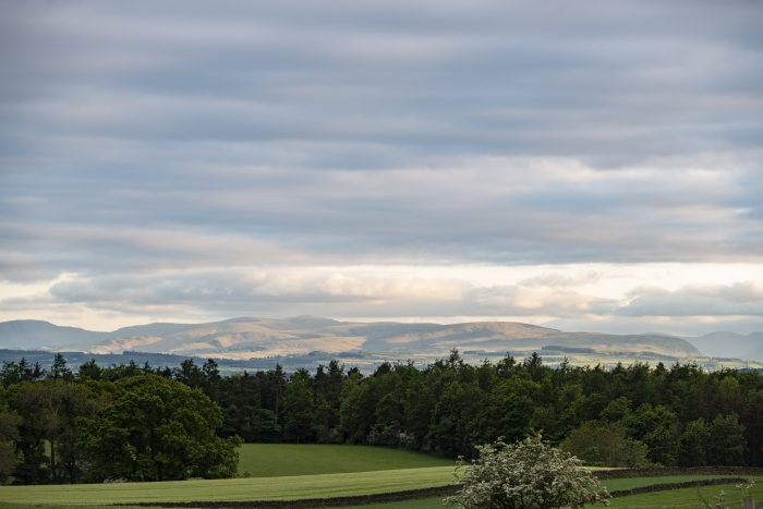 Vale Croft