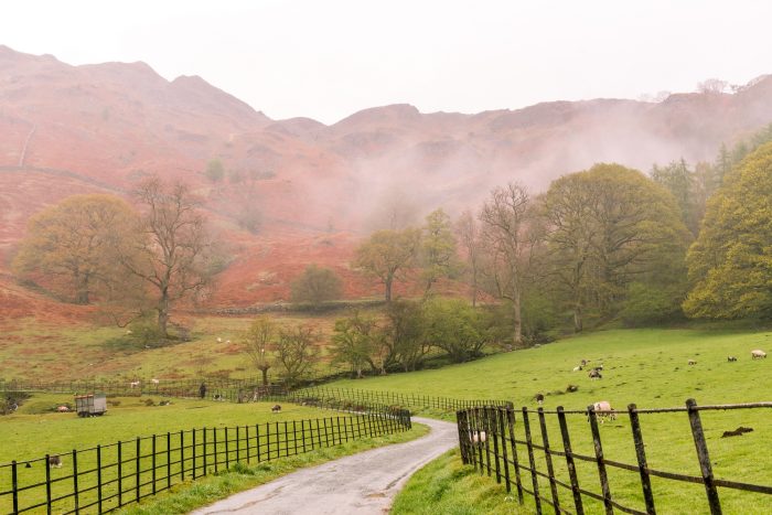 Ancient orchards and leisurely breakfasts