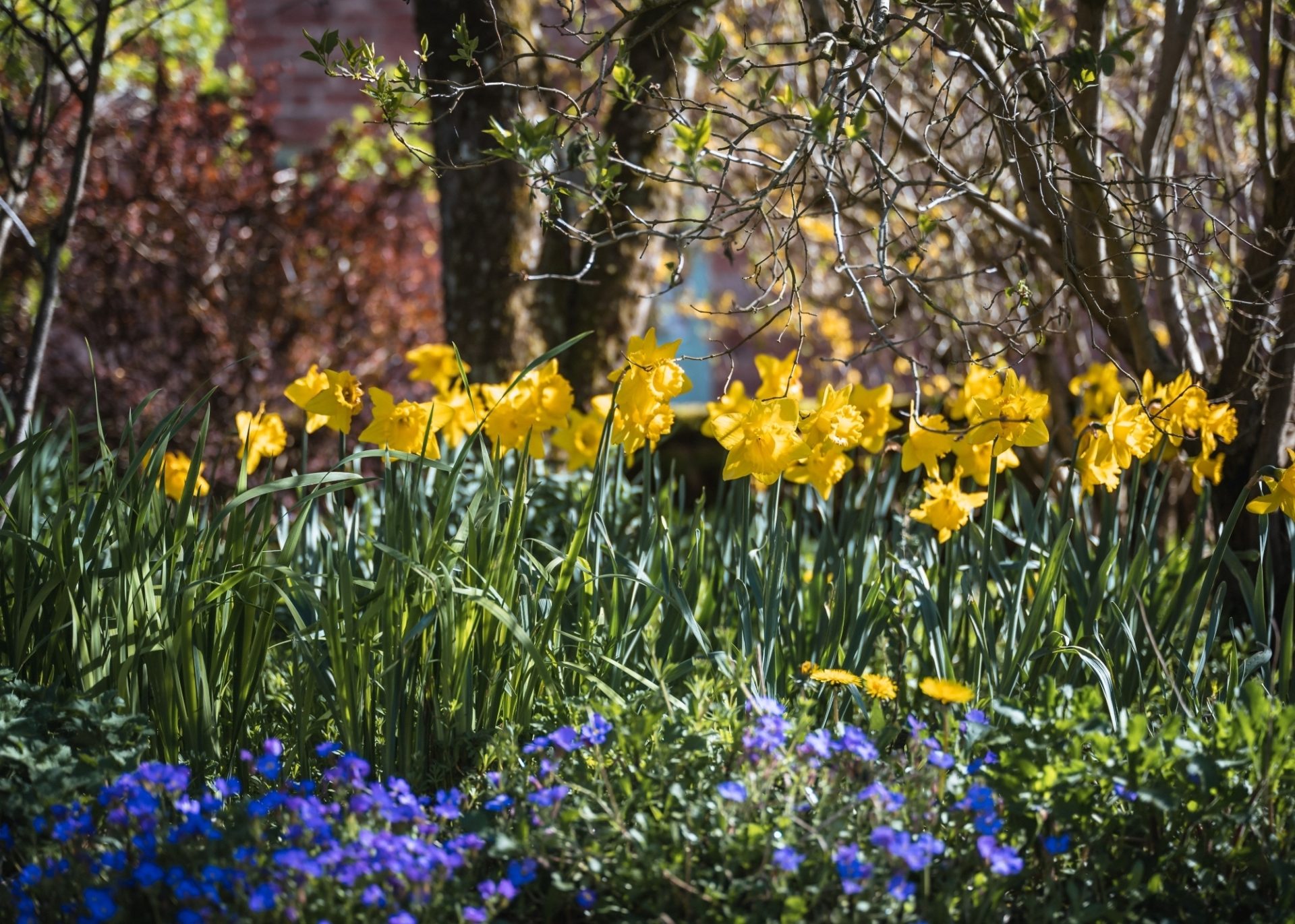 Melmerby Hall Garden