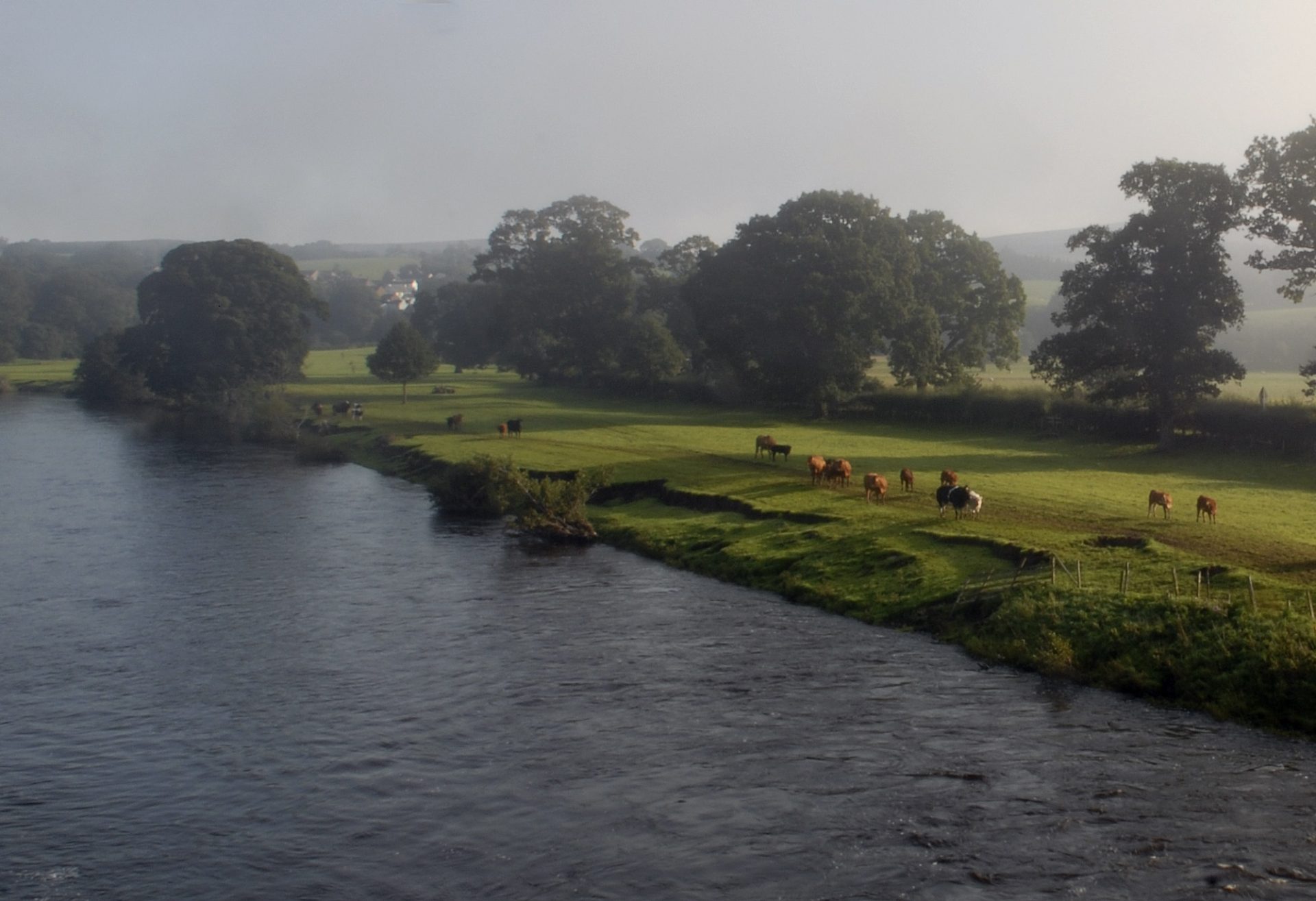 The Rowley Estates The River Eden