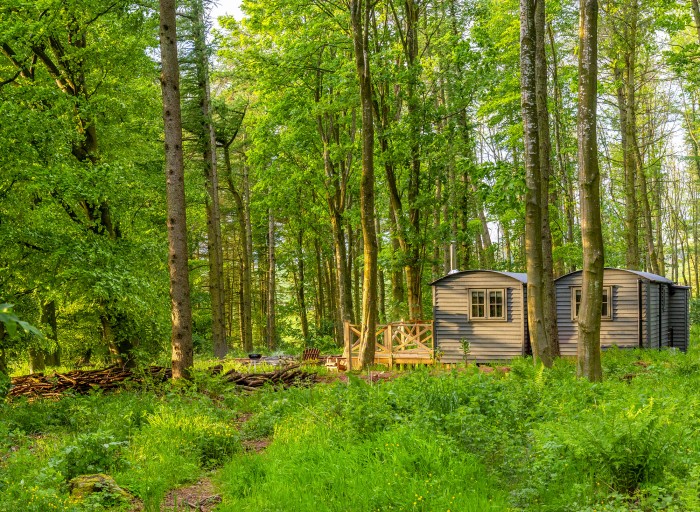Cedar-Retreat-two-bedroom-holiday-cabin-in-the-woods-near-Lake-District-Cumbria