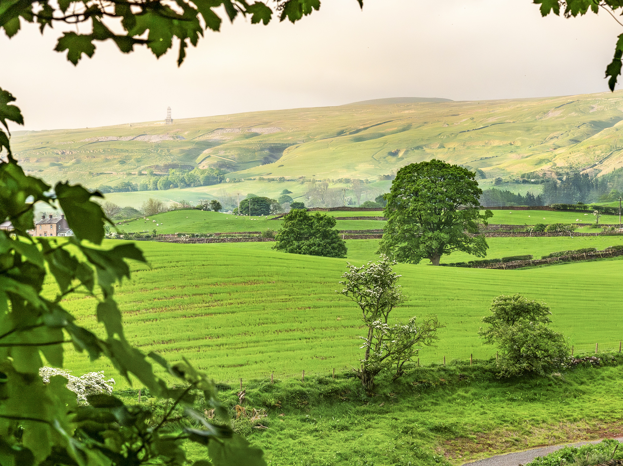 Shepherds Inn Melmerby