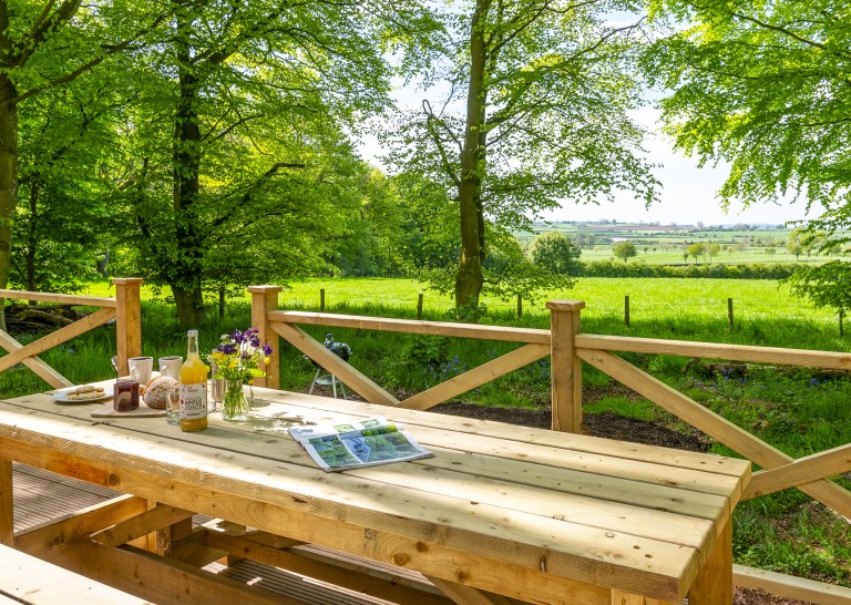 Relax and recharge in Cedar Retreat 