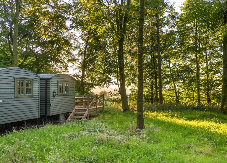 Cedar Retreat