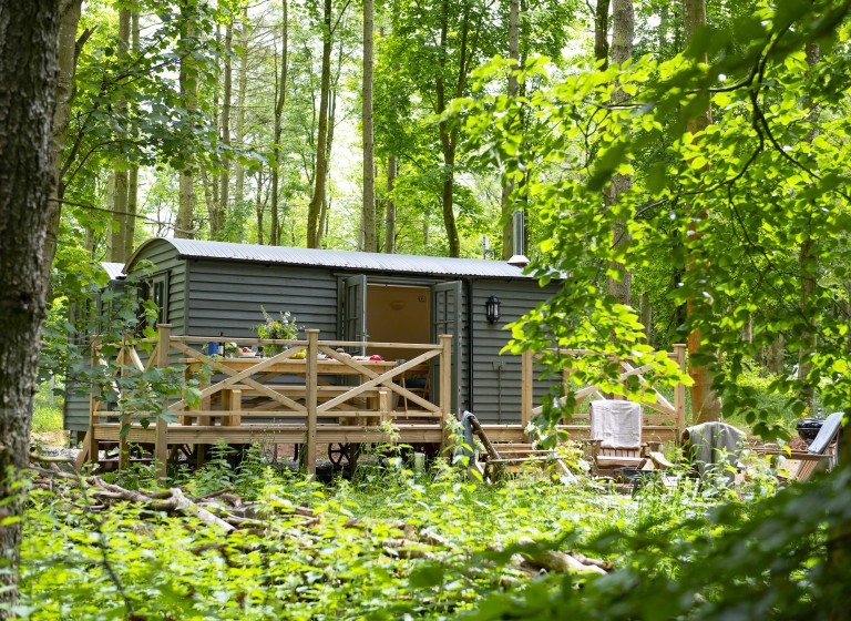 Cedar Retreat