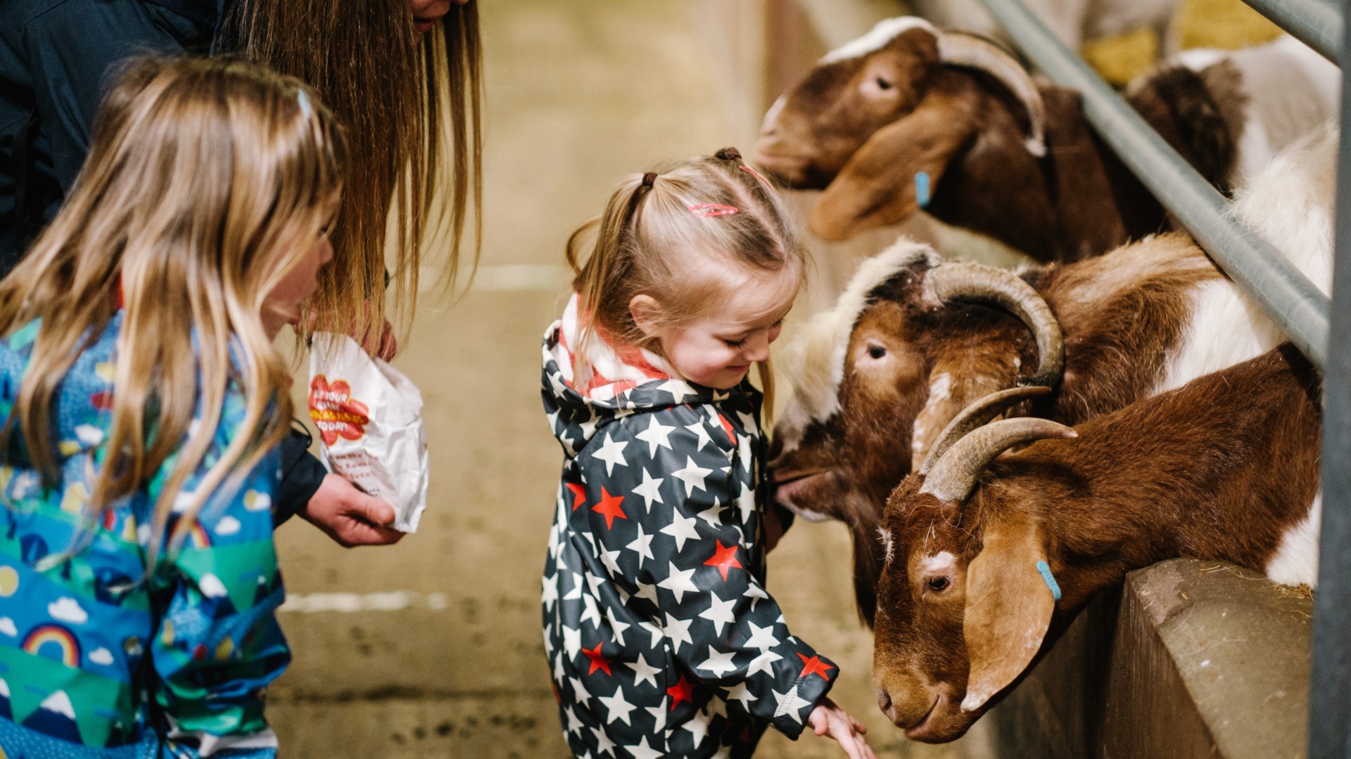 Animals at Walby Farm Park (Photos Steve Barber) (5)