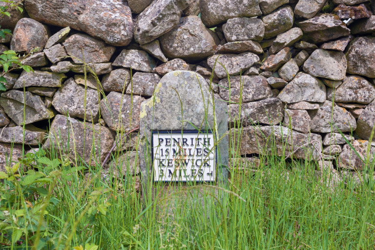 Alpacaly Ever After