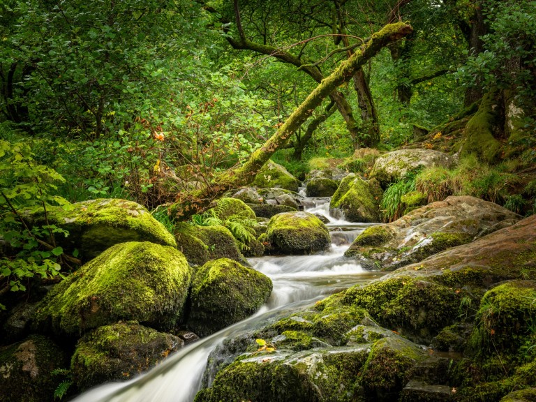 Aira Force National Trust Waterfall