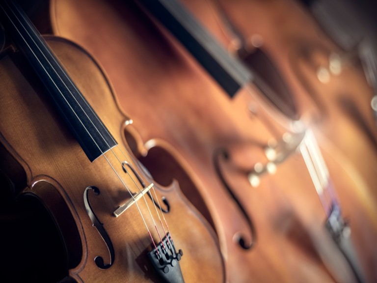 closeup string quartet group violin cello