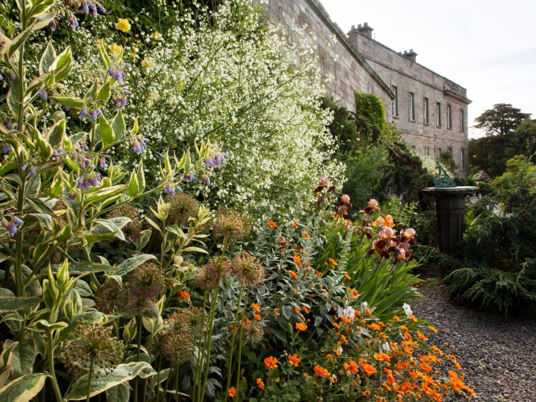 dalemain flowers garden pretty